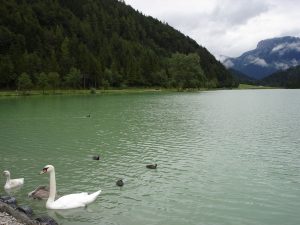 2006-01-31 Fahrt zum Großglockner