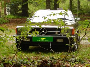 2009 Mai Oldtimerausflug nach Krumau